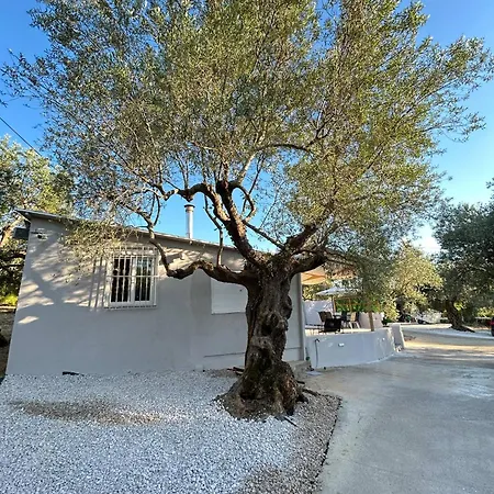 Villa κτημα εριφυλλη *