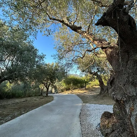 Κτημα Εριφυλλη *